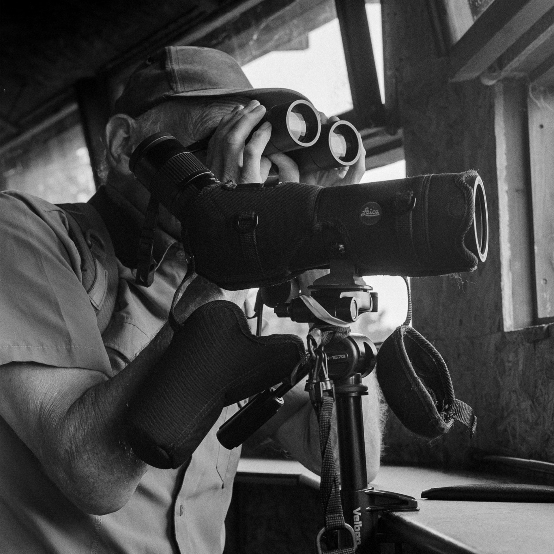 A black and white photo of a man in a bird watching hide looking through binoculars. He is stood next to a Leica telescope.