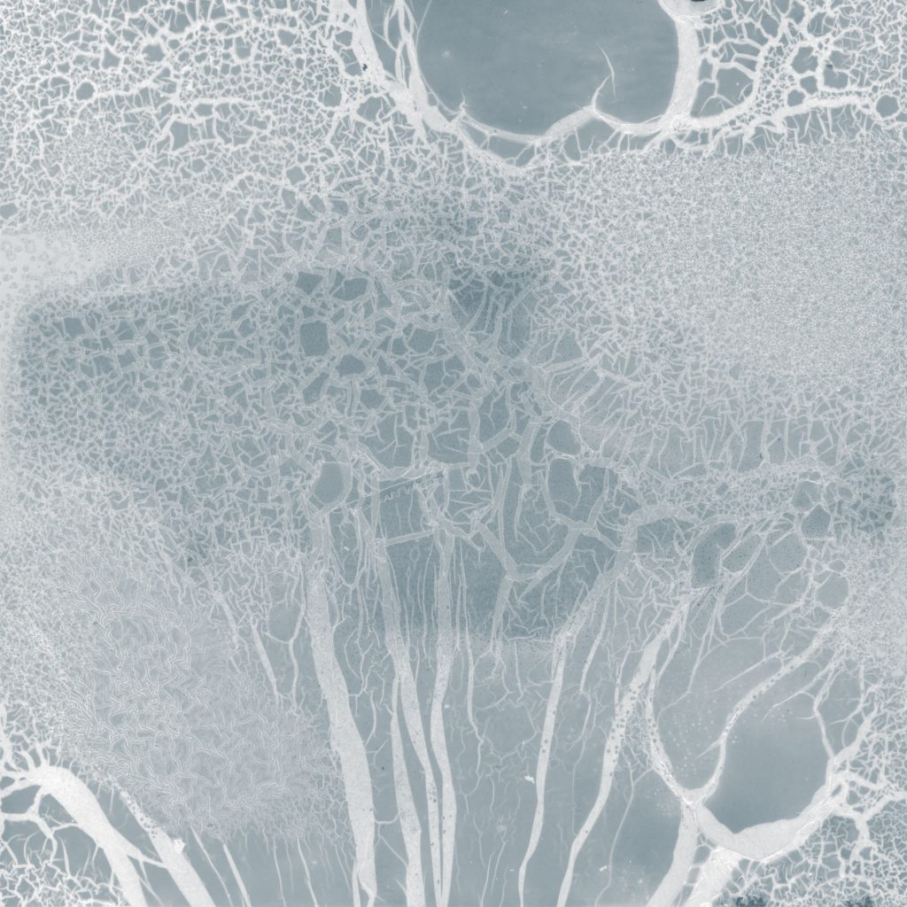 Circadia Negative by Sam Buchanan. It shows an abstract white pattern on a light grey bluish background. The pattern looks to be a mixtures of cracks, streaks and geometric shapes, grouped in different densities in the image.